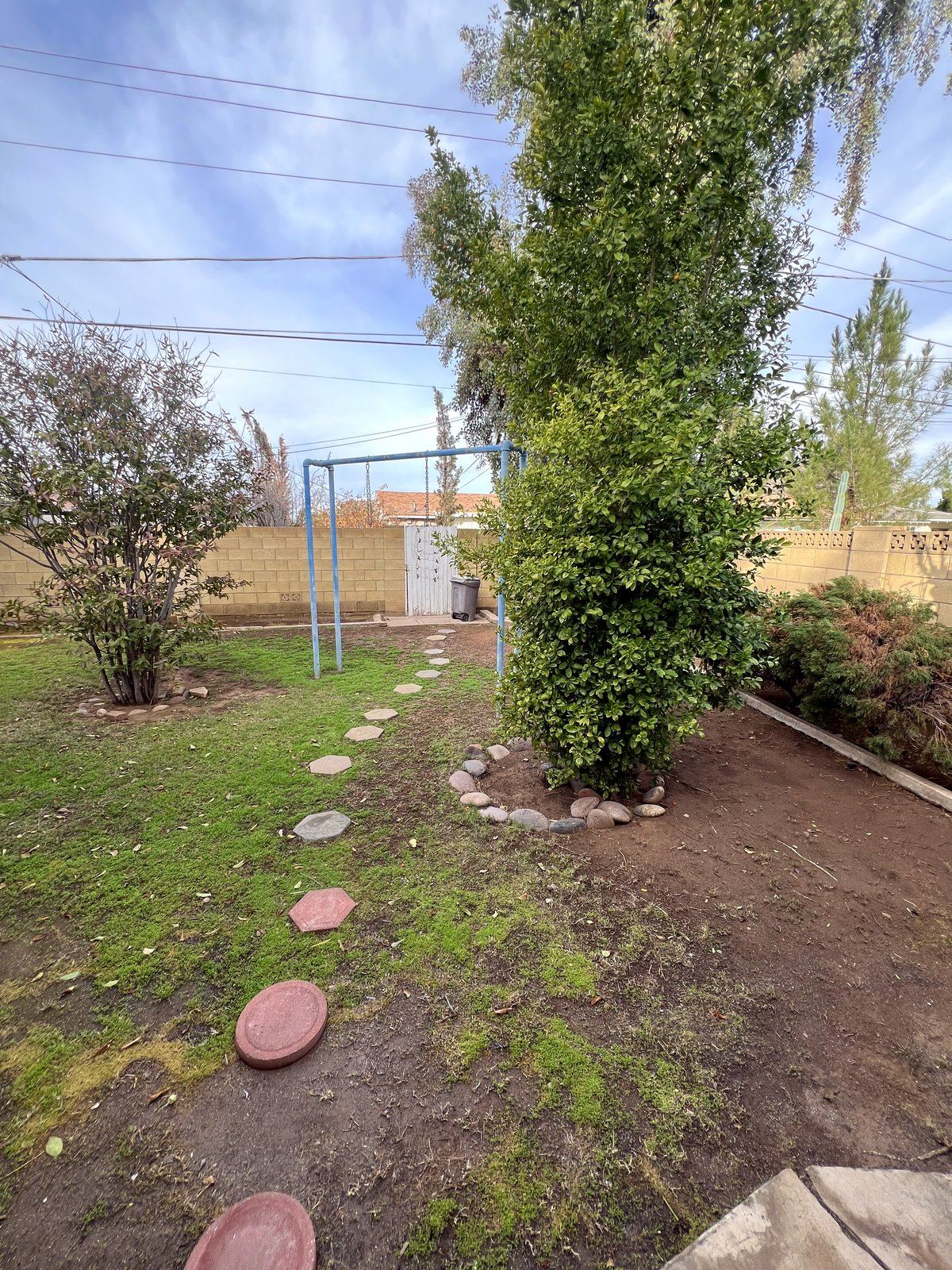 Backyard at MACH1